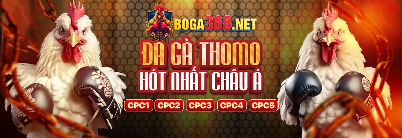 mm999 bet khuyến mãi hấp dẫn