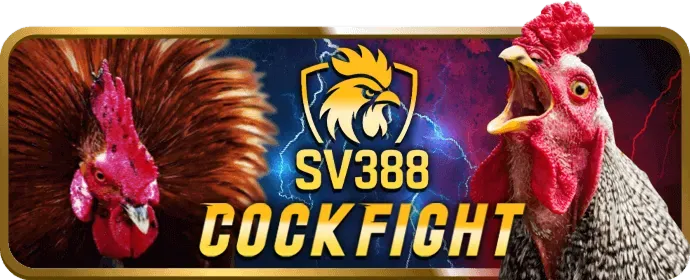 Ưu đãi sinh nhật và lễ tết
